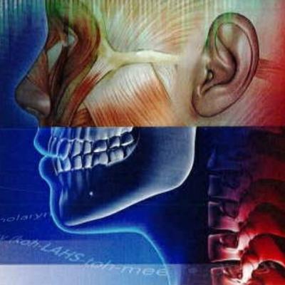 Medical Terminology for Health Professions, Chapter Eight: The Digestive System