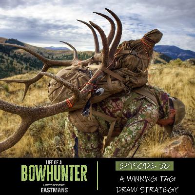 Episode 50:  A Winning Tag Draw Strategy