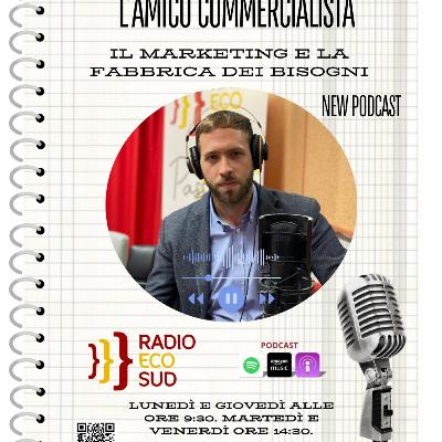 L'amico commercialista 24 puntata