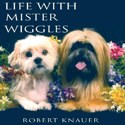 About LIFE WITH MR. WIGGLES