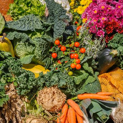Going garden-to-table