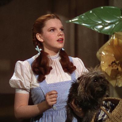 The Wizard of Oz