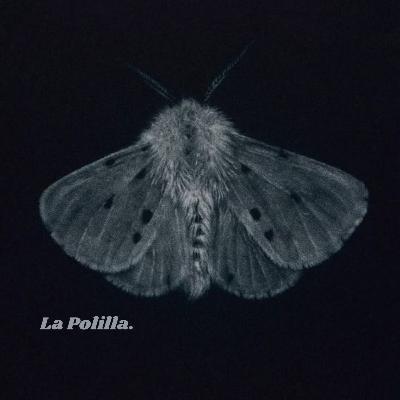 La Polilla
