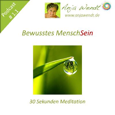 001.1 - Die 30 Sekunden Meditation 001.1 - Die 30 Sekunden Meditation