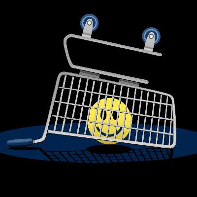 E7S2 Dr Elizabeth Minton: Are you a smart consumer?