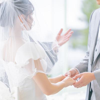 【第335回】ちゃ柴とポンセの新・哲学大王!８の巻