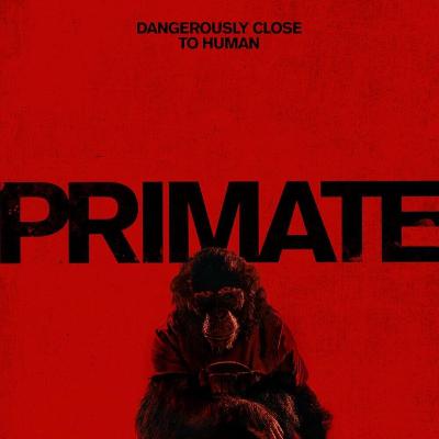 Primate 2026 - Review