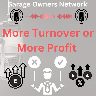 More Turnover or More Profit
