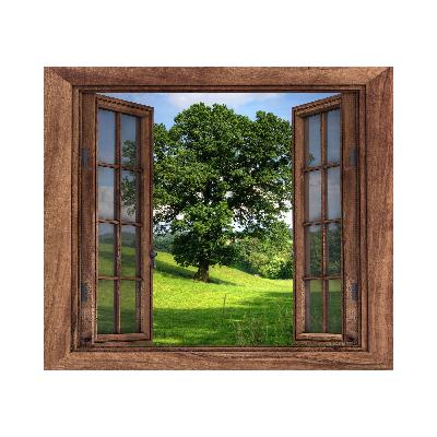 الحياة شبابيك🪟 الحياة شبابيك🪟