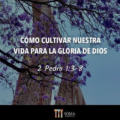 Cómo Cultivar Nuestra Vida Para la Gloria de Dios