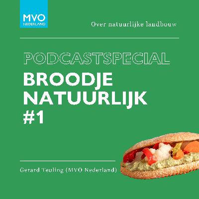 PODCASTSPECIAL Broodje Natuurlijk #1: over natuurlijke landbouw met Gerard Teuling