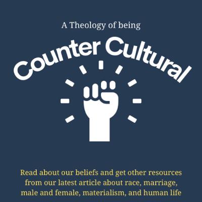 How should we view race and family? | Counter Cultural