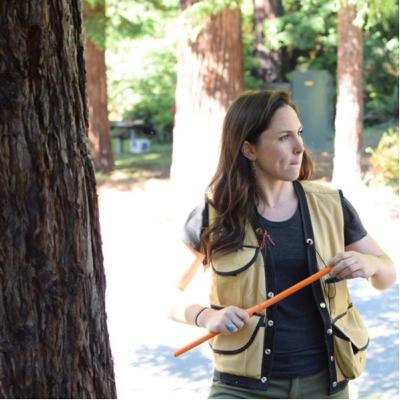A forester’s perspective on business communications | Lizzie Ebert, Forester/Appraiser A forester’s perspective on business communications | Lizzie Ebert, Forester/Appraiser