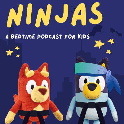 Bluey: Ninjas