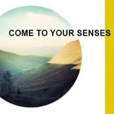 Come To Your Senses ~ Try This Chair Yoga Practice