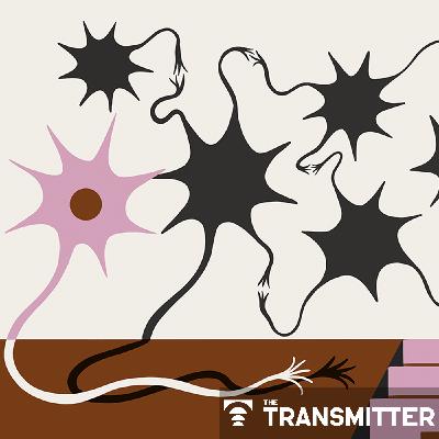 This paper changed my life: Nancy Padilla-Coreano on learning the value of population coding This paper changed my life: Nancy Padilla-Coreano on learning the value of population coding