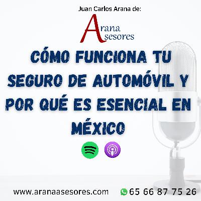 Cómo funciona tu seguro de automóvil y por qué es esencial en México