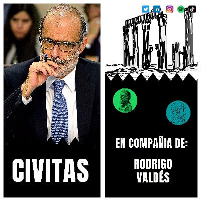 Aspectos económicos de la Constitución: Alternativas y propuestas para Chile