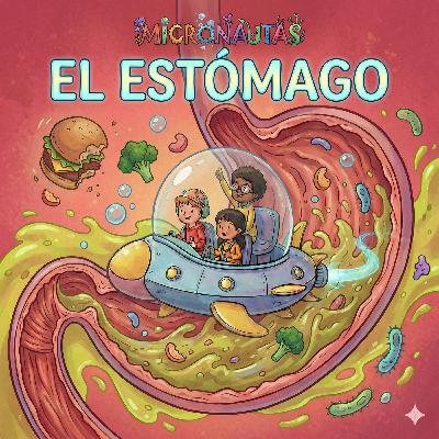 El estómago: la lavadora en la barriga
