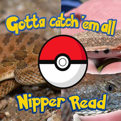 ReptiChat #Ep 65 - Gotta catch 'em ALL! Nipper Read - Herping the UK and Europe!