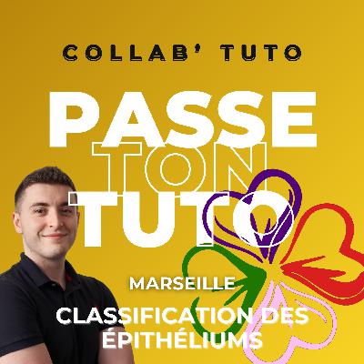 Passe Ta Pass X Tutorat Associatif Marseillais