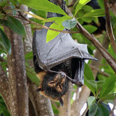 Memorial Landscapes Memorial Landscapes