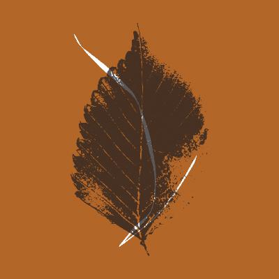 Episode 18: Compassion: “to suffer with.” Episode 18: Compassion: “to suffer with.”