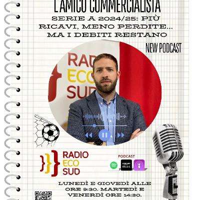 L'amico commercialista 31 puntata