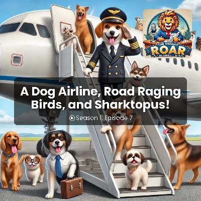 Dogs in the Sky, Road Raging Birds, and Sharktopus!