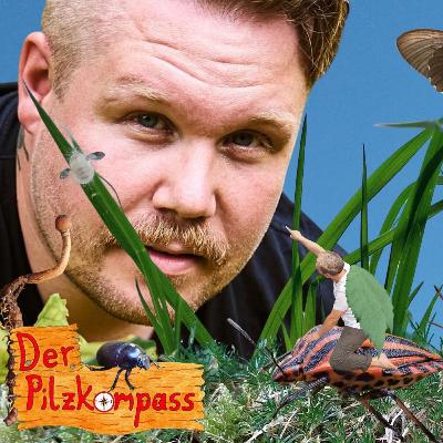 49 Fressen, Rumhängen, Sexparty – Pilze & Insekten mit Thomas Hörren