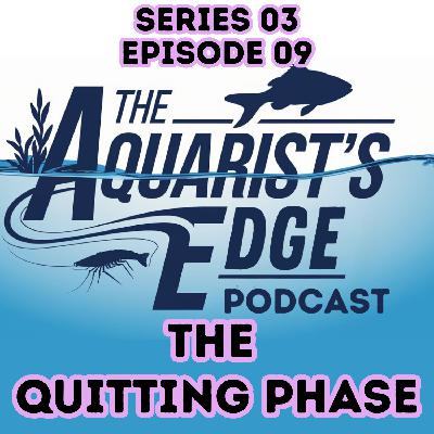 The Phase Where Most Aquarists Quit The Phase Where Most Aquarists Quit