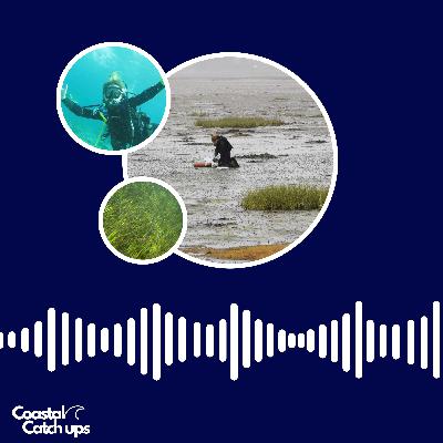 All you need to know about Seagrass with Heidi