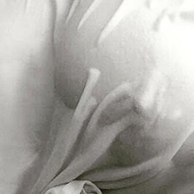 Experiencias más que raras, extraordinarias...