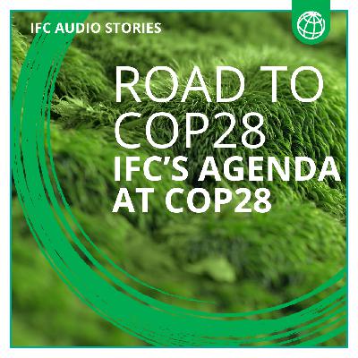 Road to COP28: IFC's Agenda at COP28