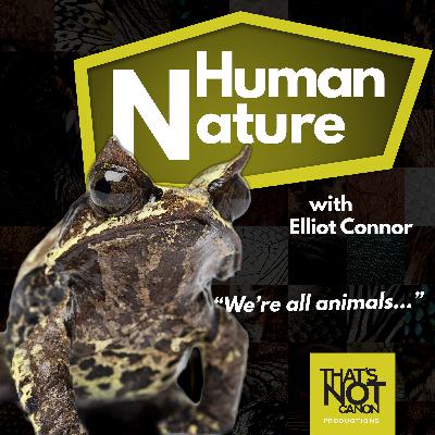 S2E2: Juan Bejjani and Poison Dart Frogs