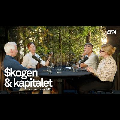 Skogen & Kapitalet: Mellanskog och WWF i debatt om skogsutredningen