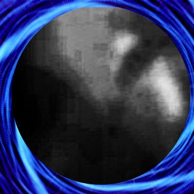 Another Insectoid Discovered in Las Vegas Alien Video by French UFO Researcher Another Insectoid Discovered in Las Vegas Alien Video by French UFO Researcher