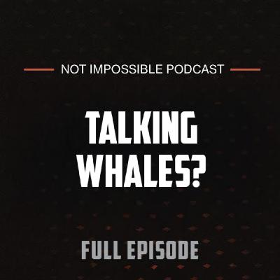 S2 Ep6: Can Whales Help Us Talk to Aliens? with the SETI Team