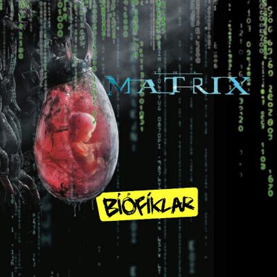 The Matrix (1999-2021) The Matrix (1999-2021)