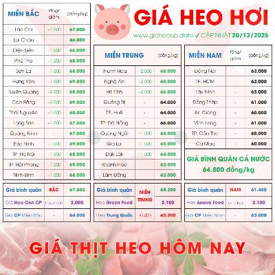 GIÁ LỢN HƠI 20/12/2025 ✅ GIÁ THỊT HEO HÔM NAY & TIN TỨC CHĂN NUÔI #GIAHEOHOI #GIATHITHEO #TET2026
