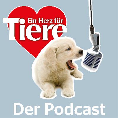 Episode 78: Nachhaltigkeit beim Futter