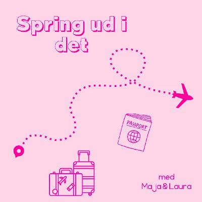 21: Byggestøv i routeren og flagermus i poolen