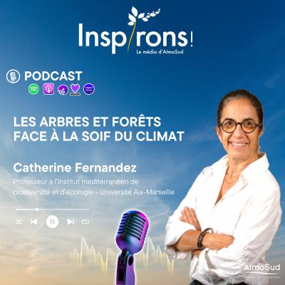 Santé-Environnement | Arbres et forêts face à la soif du climat