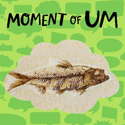 What happens when paleontologists find a fossil?