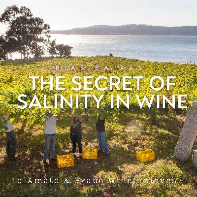 S2E2: Rias Baixas: The Secret of Salinity in Wine with Diego Rios of Granbazán