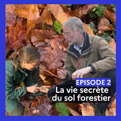 Episode 2 : La vie secrète du sol forestier