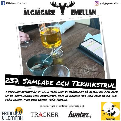 237. Samlade & Teknikstrul