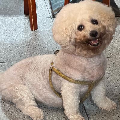 063 弱联系是人生应急出口之一