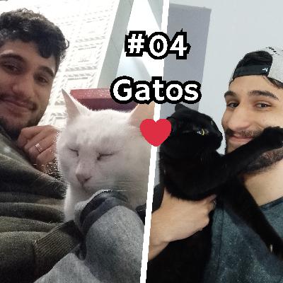 #04: Uniformes e minha relação com gatos
