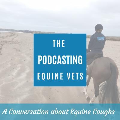 A Conversation About Equine Coughs